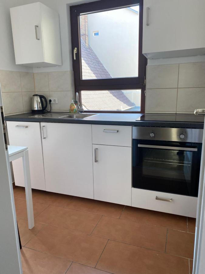 Ferienwohnung Villa Fortuna Pirna Extérieur photo