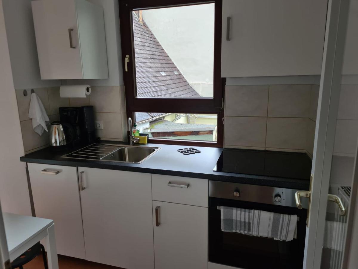 Ferienwohnung Villa Fortuna Pirna Extérieur photo
