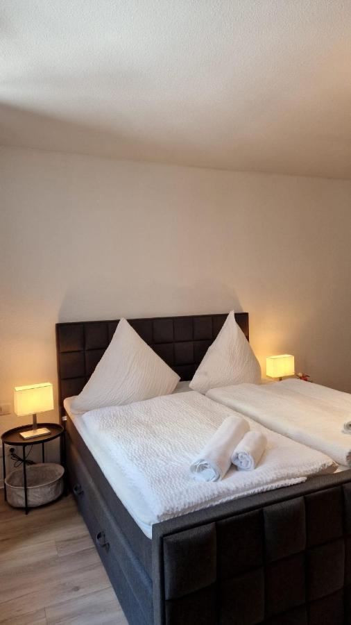Ferienwohnung Villa Fortuna Pirna Extérieur photo